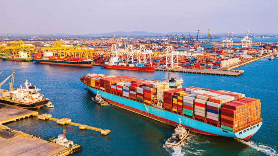 Jasa Import China Vs Jasa Forwarder: Pilih Mana? | WilhenCargo